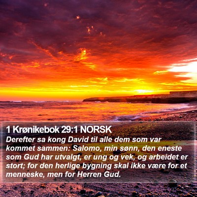1 Krønikebok 29:1 NORSK Bible Verse Image