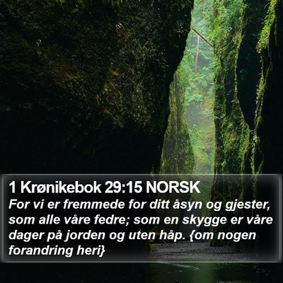 1 Krønikebok 29:15 NORSK Bible Verse Image
