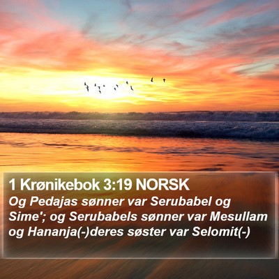 1 Krønikebok 3:19 NORSK Bible Verse Image