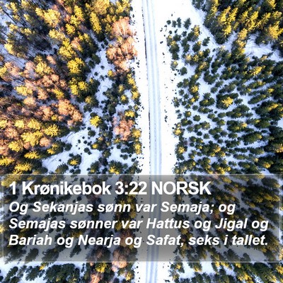 1 Krønikebok 3:22 NORSK Bible Verse Image