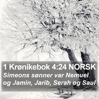 1 Krønikebok 4:24 NORSK Bible Verse Image