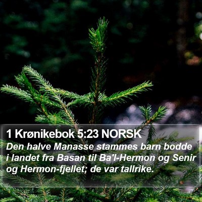 1 Krønikebok 5:23 NORSK Bible Verse Image