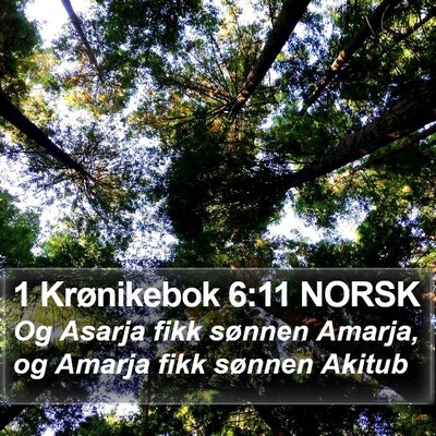 1 Krønikebok 6:11 NORSK Bible Verse Image