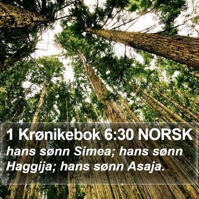 1 Krønikebok 6:30 NORSK Bible Verse Image