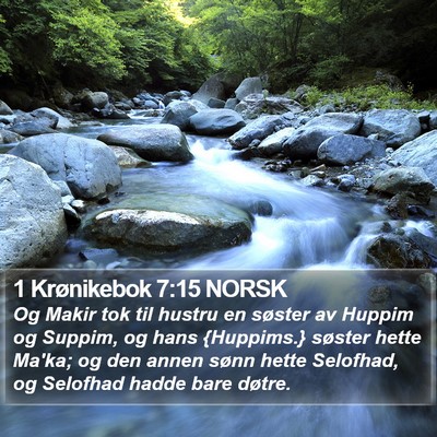 1 Krønikebok 7:15 NORSK Bible Verse Image
