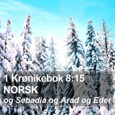 1 Krønikebok 8:15 NORSK Bible Verse Image
