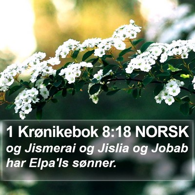 1 Krønikebok 8:18 NORSK Bible Verse Image