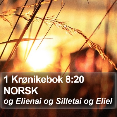 1 Krønikebok 8:20 NORSK Bible Verse Image