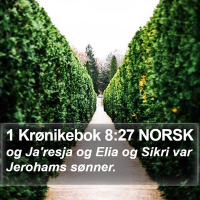 1 Krønikebok 8:27 NORSK Bible Verse Image