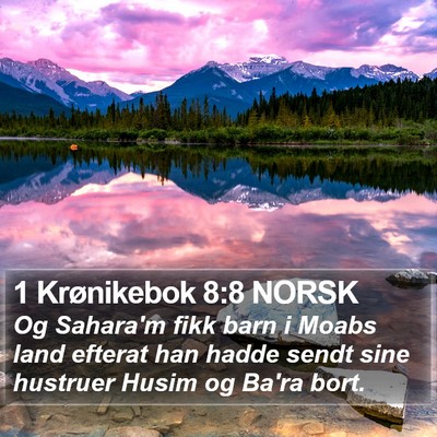 1 Krønikebok 8:8 NORSK Bible Verse Image