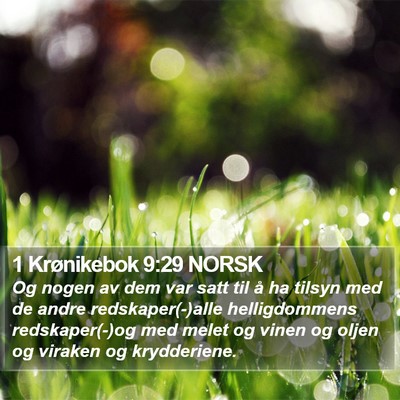 1 Krønikebok 9:29 NORSK Bible Verse Image
