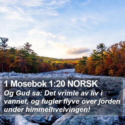 1 Mosebok 1:20 NORSK Bible Verse Image