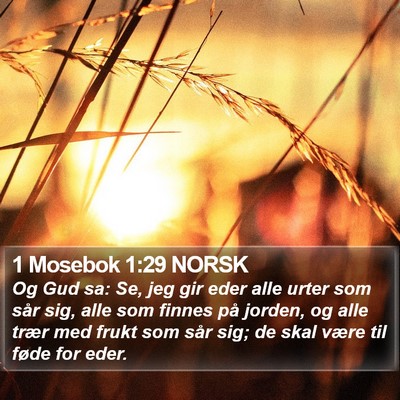 1 Mosebok 1:29 NORSK Bible Verse Image