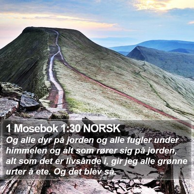 1 Mosebok 1:30 NORSK Bible Verse Image