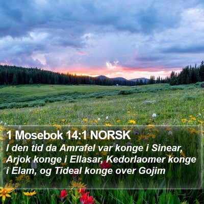 1 Mosebok 14:1 NORSK Bible Verse Image