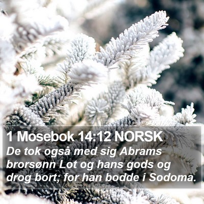 1 Mosebok 14:12 NORSK Bible Verse Image