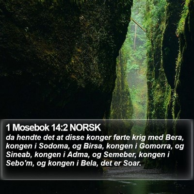1 Mosebok 14:2 NORSK Bible Verse Image
