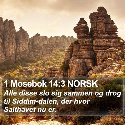 1 Mosebok 14:3 NORSK Bible Verse Image