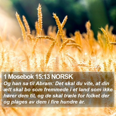 1 Mosebok 15:13 NORSK Bible Verse Image