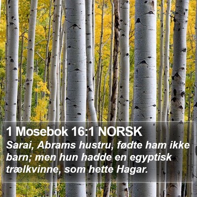 1 Mosebok 16:1 NORSK Bible Verse Image