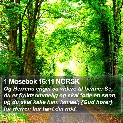 1 Mosebok 16:11 NORSK Bible Verse Image
