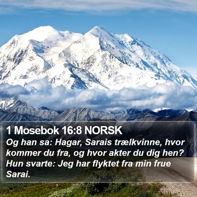 1 Mosebok 16:8 NORSK Bible Verse Image