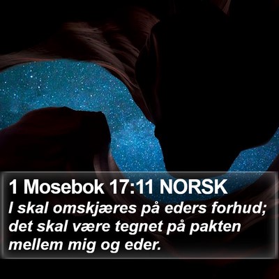 1 Mosebok 17:11 NORSK Bible Verse Image