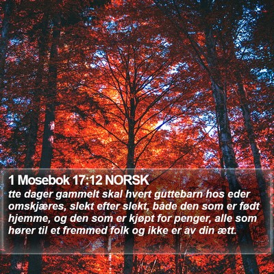 1 Mosebok 17:12 NORSK Bible Verse Image