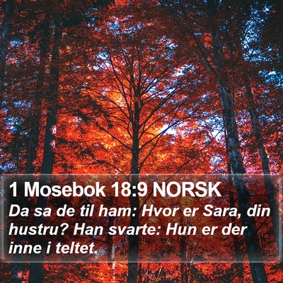 1 Mosebok 18:9 NORSK Bible Verse Image