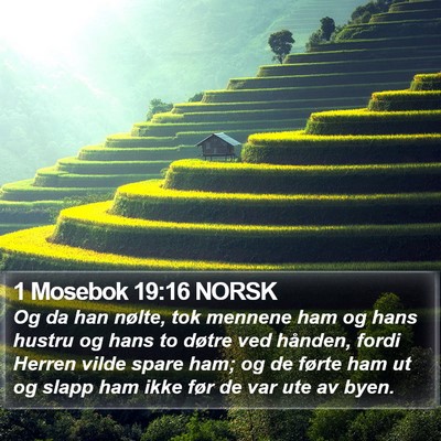 1 Mosebok 19:16 NORSK Bible Verse Image