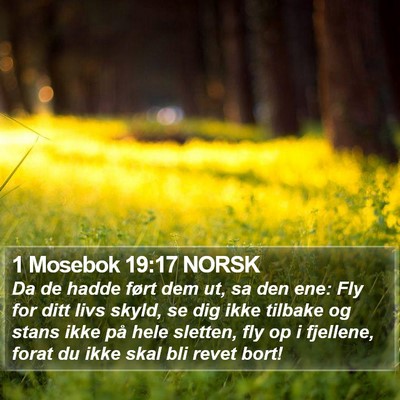 1 Mosebok 19:17 NORSK Bible Verse Image