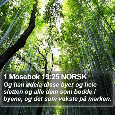 1 Mosebok 19:25 NORSK Bible Verse Image