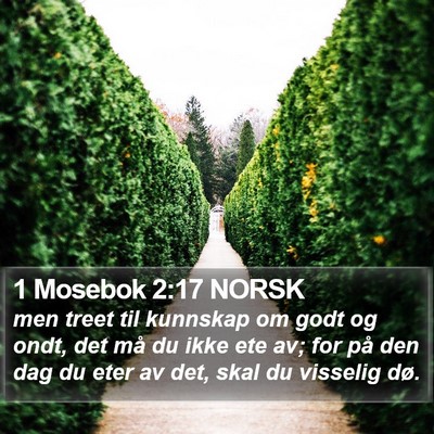 1 Mosebok 2:17 NORSK Bible Verse Image