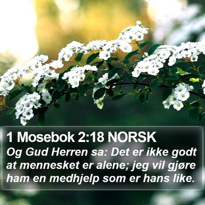 1 Mosebok 2:18 NORSK Bible Verse Image