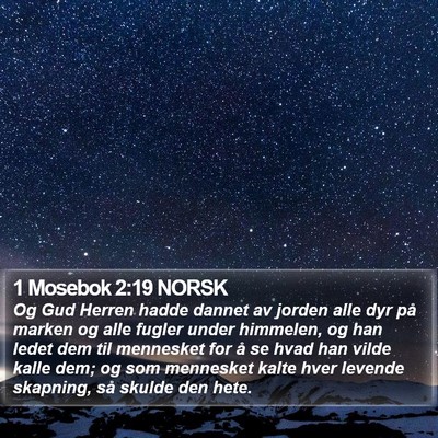 1 Mosebok 2:19 NORSK Bible Verse Image