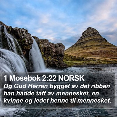 1 Mosebok 2:22 NORSK Bible Verse Image