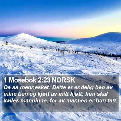 1 Mosebok 2:23 NORSK Bible Verse Image