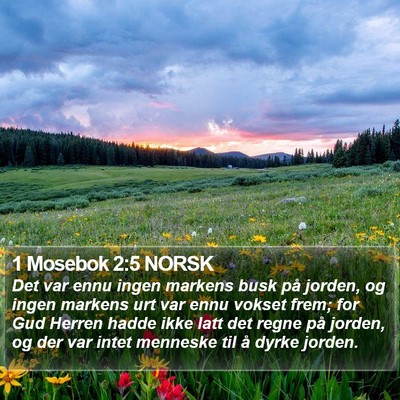 1 Mosebok 2:5 NORSK Bible Verse Image