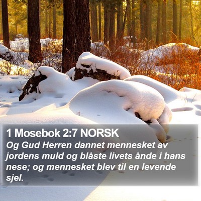 1 Mosebok 2:7 NORSK Bible Verse Image