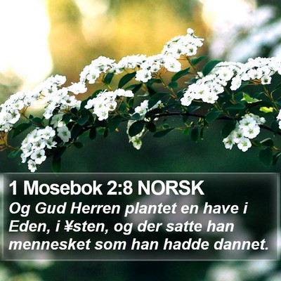 1 Mosebok 2:8 NORSK Bible Verse Image