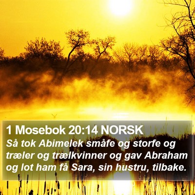1 Mosebok 20:14 NORSK Bible Verse Image