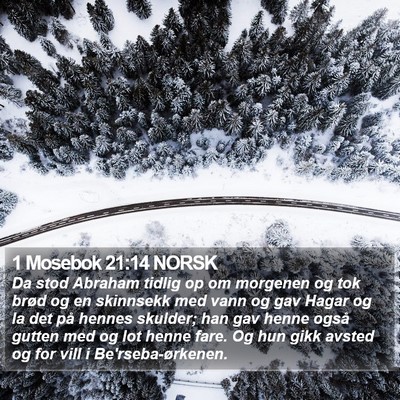 1 Mosebok 21:14 NORSK Bible Verse Image