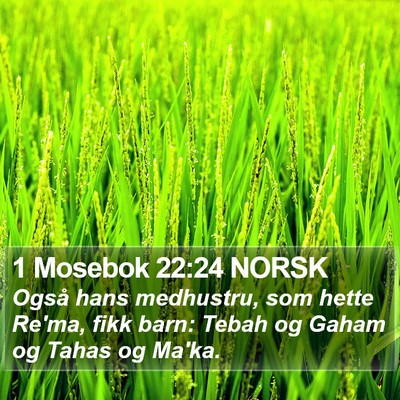 1 Mosebok 22:24 NORSK Bible Verse Image