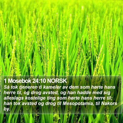 1 Mosebok 24:10 NORSK Bible Verse Image