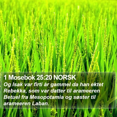 1 Mosebok 25:20 NORSK Bible Verse Image