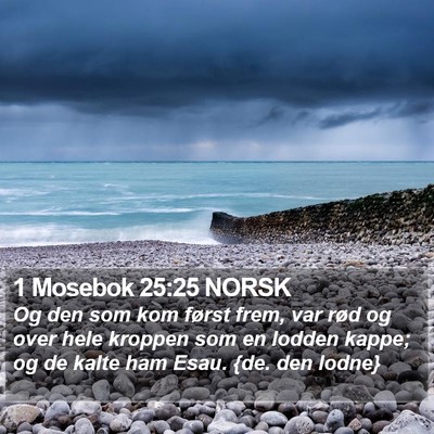 1 Mosebok 25:25 NORSK Bible Verse Image