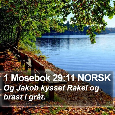 1 Mosebok 29:11 NORSK Bible Verse Image