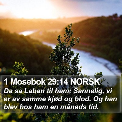 1 Mosebok 29:14 NORSK Bible Verse Image