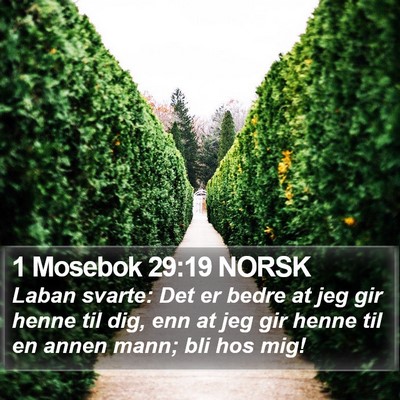 1 Mosebok 29:19 NORSK Bible Verse Image