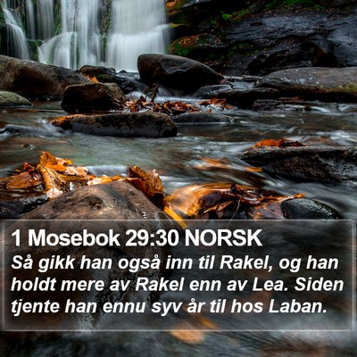 1 Mosebok 29:30 NORSK Bible Verse Image